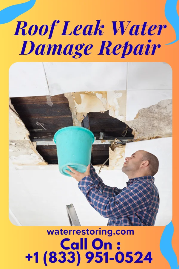 Roof Leak Water Damage Repair in Wallace, NC