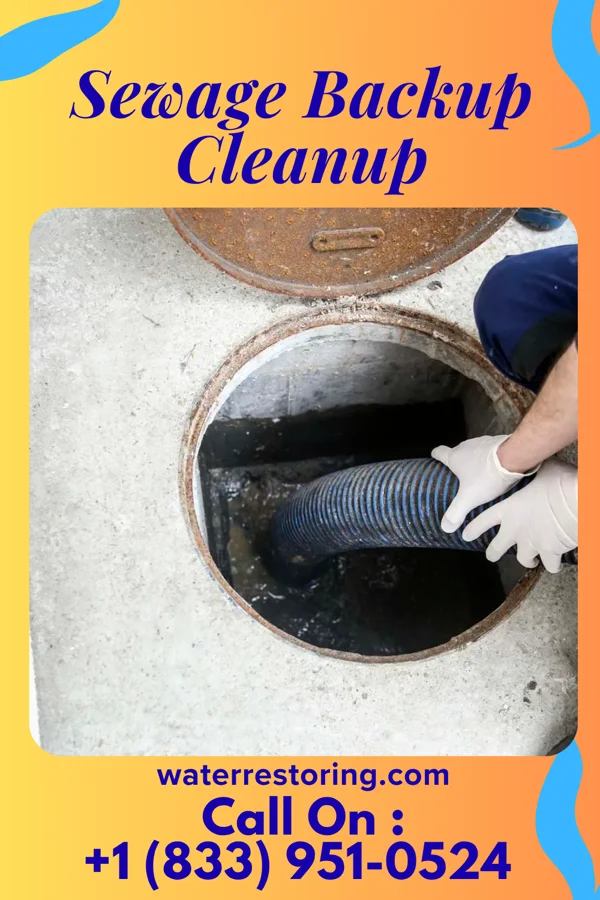 Sewage Backup Cleanup in Wallace, NC