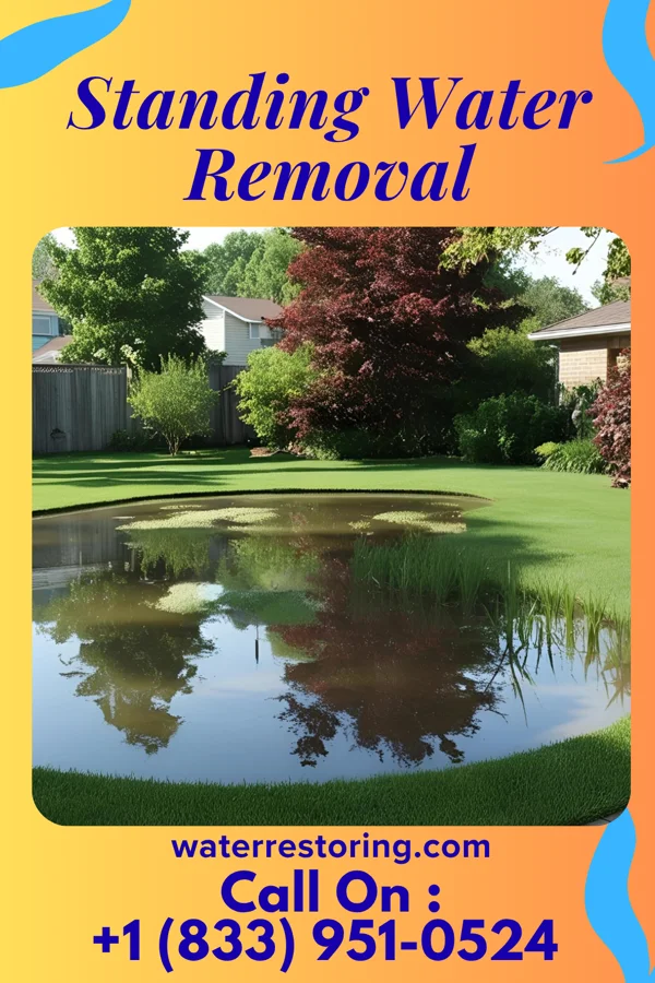 Standing Water Removal in Wallace, NC